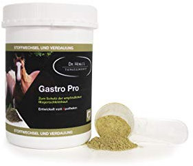 Dr. Henles Gastro Pro (700g)