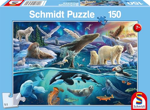 Schmidt 56484
