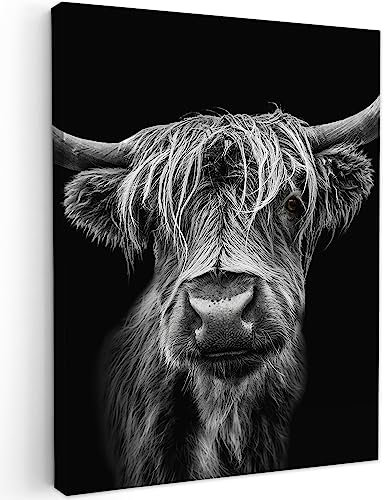 MuchoWow© Bilder 50x70 cm Wohnzimmer Deko Modern Wandbild Foto auf Leinwand Bild Schlafzimmer Room Decor Geschenke Schottisches Hochlandrind - Highland Cow - Hörner - Schwarz und Weiß - Kuh