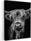 MuchoWow© Bilder 50x70 cm Wohnzimmer Deko Modern Wandbild Foto auf Leinwand Bild Schlafzimmer Room Decor Geschenke Schottisches Hochlandrind - Highland Cow - Hörner - Schwarz und Weiß - Kuh