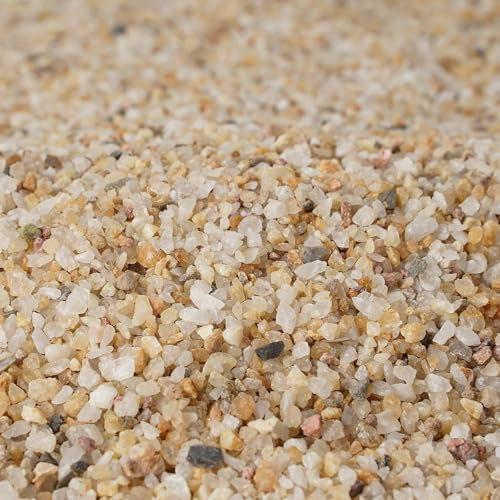 11 Pounds Coarse Silica Sand Succulent and Cactus Bonsai Stones Soil Cover Gravel for Indoor Outdoor Plants Natural Decorative Rocks for Fairy Gardening, Vase Fillers, Aquariums, Carnivorous Plant Mix