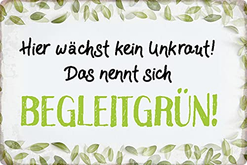 Blechschild 20x30cm gewölbt Hier wächst kein Unkraut Spruch Sprüche Deko Geschenk Schild