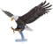 Fascinations PS2017 Metal Earth Metallbausätze - Greifvogel Weißkopfseeadler, lasergeschnittener 3D-Konstruktionsbausatz, 3D Metall Puzzle, DIY Modellbausatz mit 2.5 Metallplatinen, ab 14 Jahre