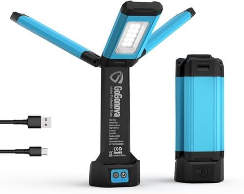 LED Baustrahler Akku, GoGonova Tragbare Arbeitsleuchte mit 8000mAh Batterie, Magnet, 700/1200/2200LM, 4000/6500K, Campinglampe für Garage, Outdoor, Camping, Baustellen [Energieklasse F]