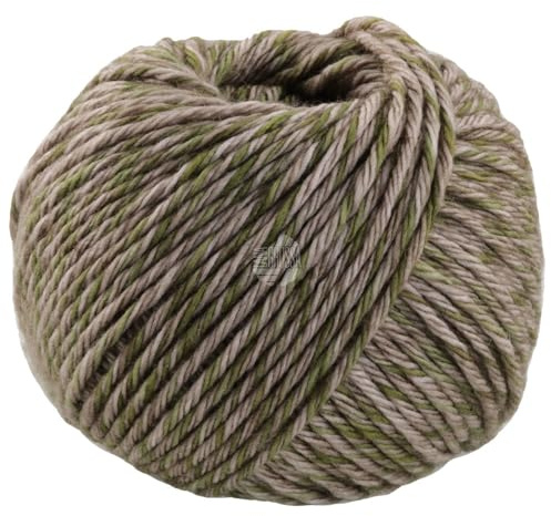 LANA GROSSA Vintage Chunky | Merinoklassiker mit Ton in Ton Farbeffekt | Handstrickgarn aus 100% Schurwolle (Merino) | 50g Wolle zum Stricken & Häkeln | 80m Garn FB 2 Beige/Oliv