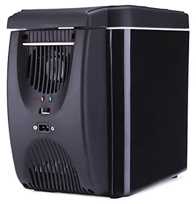 Nevera portátil para coche, 12 V, 6 litros, color azul, tamaño: 12 V/220 V