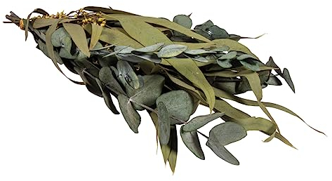 Rayher Ramas eucalipto natural, ramas secas decorativas, 30-35 cm, decoración rústica, 85493000