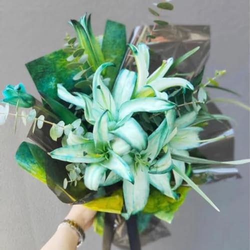 Lilium martagon zwiebeln,winterharte,lilien deko,lilien im topf,lilie riesen,lilien zwiebeln forever susan,lilie,duft lilien,lilien knollen,lilien zwiebeln winterhart mehrjährig.-10 zwiebeln-B