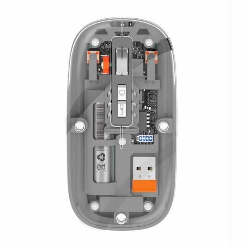 Combrite Souris sans fil transparente, Bluetooth + 2,4 GHz double mode, rechargeable par USB-C, design fin, ultra portable, DPI réglable, mince et ultra portable pour ordinateurs portables, PC, Mac