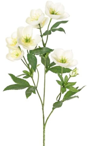 artplants.de Kunstblumen Zweig Christrosen ANYALA, Creme-weiß, 50cm - Künstlicher Deko Zweig