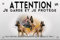 Pets-easy Panneau Attention au chien malinois militaire