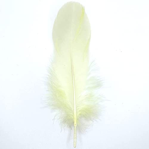Natürliche Federn Gänsefedern, ca. 15-20 cm, 10 Stück, Creme - Kopper-24 Gans Schwanzfedern Schmuck Dekoration Bastelfedern für Hochzeit Karneval Party Deko Kostüme Natur Basteln