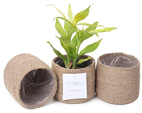 ECO Living Jute-Pflanzkorb, gewebte Jute-Seilabdeckungen zum Dekorieren von Sukkulenten im Innen- und Außenbereich, kleine Blumentöpfe, moderner Stil, Dekoration – natürliche Jute