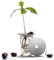Botanopia Coupelle de Germination Taille S