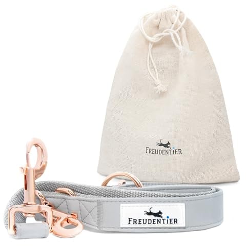 FREUDENTIER Hochwertige Hundeleine aus veganem Leder - 2m, 3-Fach verstellbar - Liebevoll in Holland hergestellt - Hyde Park Kollektion 2.0 (2m Länge / 20mm Breite)