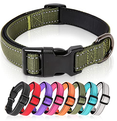 HEELE Hundehalsband, Hundehalsband aus Nylon, Reflektierend Halsband Hund mit Weich Neopren Gepolstert für Welpen Kleine Mittel Große Hunde Läng Einstellbereich 20-30 cm, Grün, XS