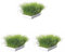 Trixie TX-4235 Herbe à Chat 100 g (Lot de 3)