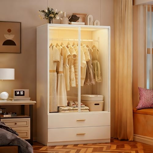 Kleiderschrank mit LED-Beleuchtung,Vielseitiger Drehtürenschrank mit 2 Türen aus gehärtetem Glas,Glasschrank mit Kleiderstange,Wardrobe closet mit 2 Schubladen,Schrank Mehrzweckschrank (Weiß-1)