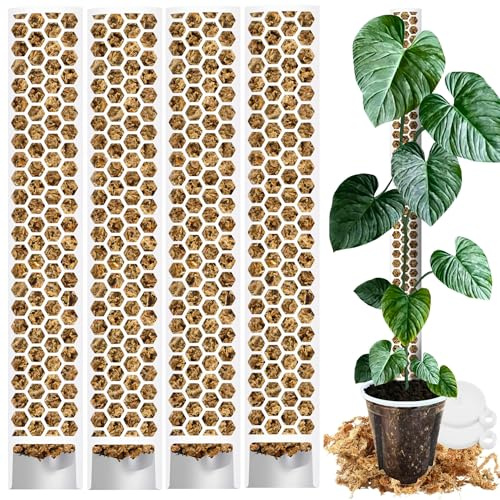 PlantScraper XL Moosstab für Monstera 4 x 63 cm - Erweiterbare Monstera Rankhilfe & Zubehör-Set - Pflanzstäbe mit Pflanzen-Klettband & Moosstangenmischung - Optimiert für Aroiden