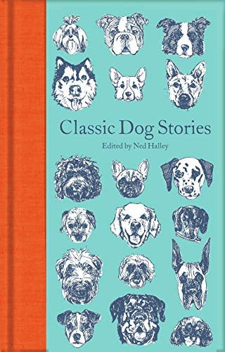 Classic Dog Stories: 252 (Macmillan Collector's Library, 252)