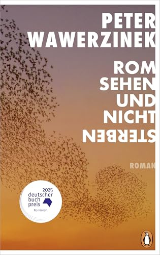Rom sehen und nicht sterben: Roman