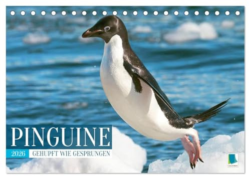 Pinguine: Gehupft wie gesprungen (Tischkalender 2026 DIN A5 quer), CALVENDO Monatskalender: Pinguine: laden zum Schmunzeln und Lachen ein (CALVENDO Tiere)