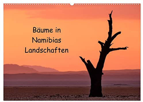 Bäume in Namibias Landschaften (Wandkalender 2026 DIN A2 quer), CALVENDO Monatskalender: Der Baum in verschiedenen Landschaften Namibias. (CALVENDO Natur)