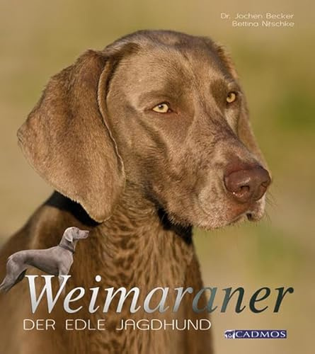 Weimaraner: Der edle Jagdhund (Cadmos Hundebuch)