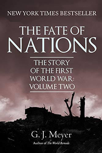 The Fate of Nations: The Story of the First World War, Volume Two