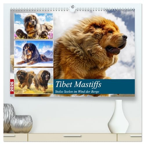 Tibet Mastiffs. Stolze Seelen im Wind der Berge (hochwertiger Premium Wandkalender 2026 DIN A2 quer), Kunstdruck in Hochglanz: Wildromantische Bilder ... und kraftvollen Hunden (CALVENDO Tiere)