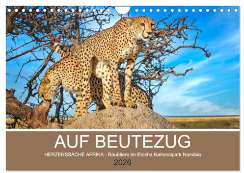 AUF BEUTEZUG (Wandkalender 2026 DIN A4 quer), CALVENDO Monatskalender: Raubtiere im Etosha Nationalpark Namibia (CALVENDO Orte)