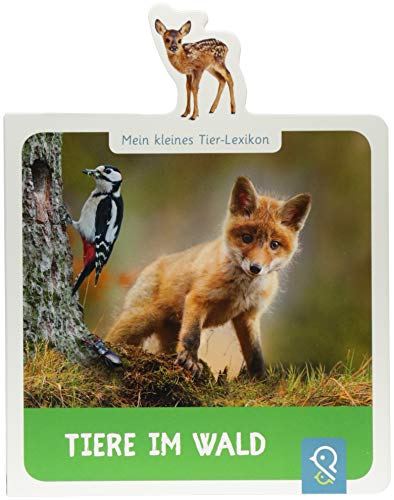 Tiere im Wald: Mein kleines Tier-Lexikon