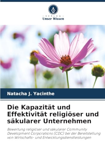 Die Kapazität und Effektivität religiöser und säkularer Unternehmen: Bewertung religiöser und säkularer Community Development Corporations (CDC) bei ... Wirtschafts- und Entwicklungsdienstleistungen