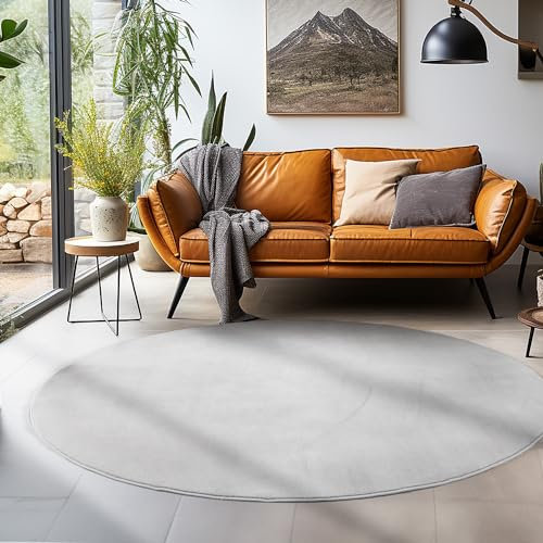 SIMPEX Teppich Wohnzimmer Schlafzimmer Esszimmer Läufer Flur Flauschiger Teppich Waschbar rutschfest Soft Weich Carpet Kurzflor Größen, Silberfarbe, 200 cm Rund