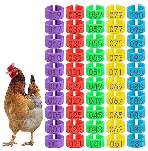 50 Stück Hühnchen Identifikation Beine Ringe,Hähnchen Beinringe mit Bunter Zahl,Geflügel Band, Hähnchen Beinringe Mehrfarbige,Hühnerring für Hühner,Geflügelschenkelringe,für Enten,Taube,Gans,5 Farben