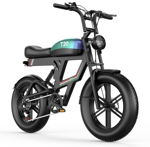 ASKGO 20 Zoll E-Bike Herren Damen, 48V 20Ah Akku Elektrofahrrad, 250W Motor, 80km Reichweite, LCD-Display, mit Vorderradgabel-Federung, Pedelec E-Mountainbike für Erwachsene