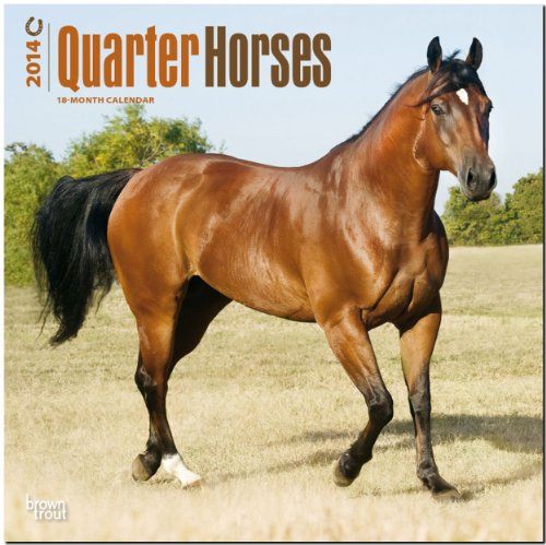 Quarter Horses 2014: Original BrownTrout-Kalender [Mehrsprachig] [Kalender] (Wall-Kalender)