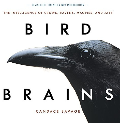 Bird Brains: The Intelligence of Crows, Ravens, Magpies, and Jays