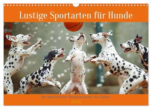 Lustige Sportarten für Hunde (Wandkalender 2026 DIN A3 quer), CALVENDO Monatskalender: Vierpfoten-Power (CALVENDO Spass)