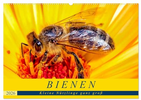 BIENEN - Kleine Nützlinge ganz groß (Wandkalender 2026 DIN A2 quer), CALVENDO Monatskalender: Natürliche Makro-Momentaufnahmen in freier Natur (CALVENDO Tiere)