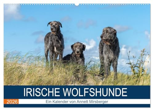 Irische Wolfshunde (Wandkalender 2026 DIN A2 quer), CALVENDO Monatskalender: Sanfte Riesen (CALVENDO Tiere)