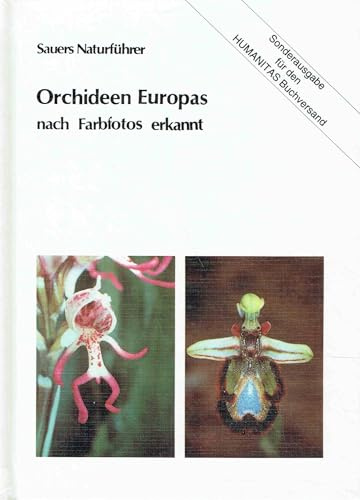 Orchideen Europas, nach Farbfotos erkannt