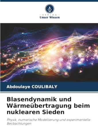 Blasendynamik und Wärmeübertragung beim nuklearen Sieden: Physik, numerische Modellierung und experimentelle Beobachtungen