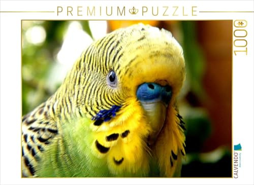 CALVENDO Puzzle Wellensittich - EIN tiefer Blick in die Seele eines Wellensittichs... | 1000 Teile Lege-Größe 64 x 48 cm Foto-Puzzle für glückliche Stunden