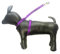 Dog Grooming Table Harness Noose (Happy Strap) (Purple)