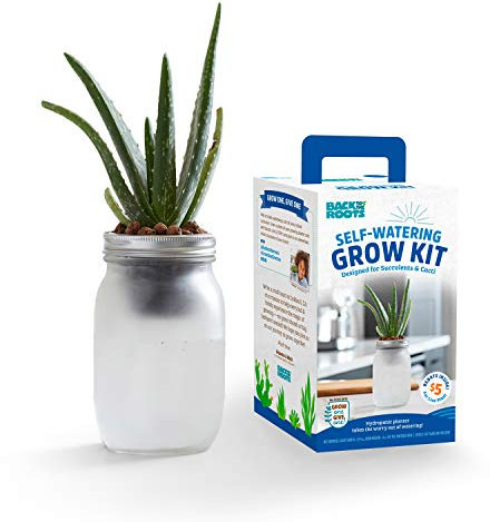 Back to the Roots Self Watering Grow Kit - Glass Hydroponic Planters for Succulents and Cacti - Hassle-Free Self-Watering System
