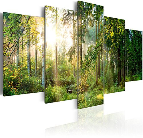 B&D XXL - Tableau Décoratif Paysage 225x112,5 cm - Impression sur Toile Colorée - Décoration Murale pour Salon et Chambre - Arbres Forêt Feuilles Nature Plantes Soleil c-C-0033-b-n