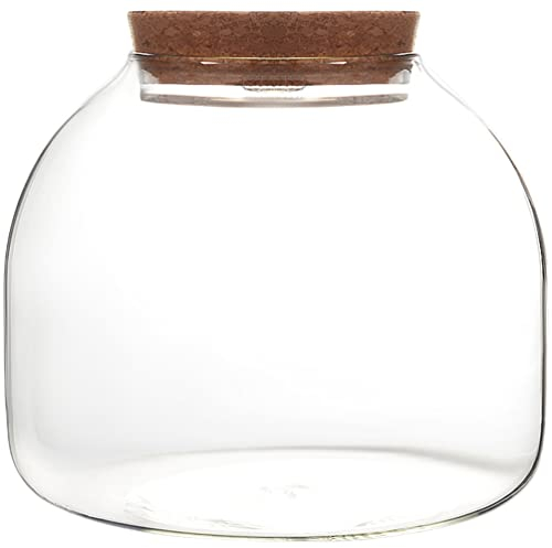 ULTECHNOVO Planta De Vidrio Terrario Mesa Suculenta Maceta Pascua Tarro Bote Redondo Pecera Florero Botellas De Vidrio Selladas Vial con Tapa De Corcho para Artesanía, 15x15CM, Transparente