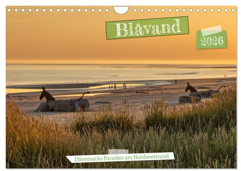 Blåvand - Dänemarks Paradies am Nordseestrand (Wandkalender 2026 DIN A4 quer), CALVENDO Monatskalender: Traumhafte Bilder von den Stränden Blåvands, die Lust auf Urlaub und Meer machen (CALVENDO Orte)