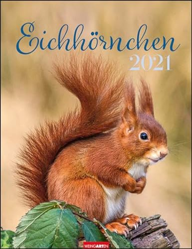 Eichhörnchen Kalender 2021